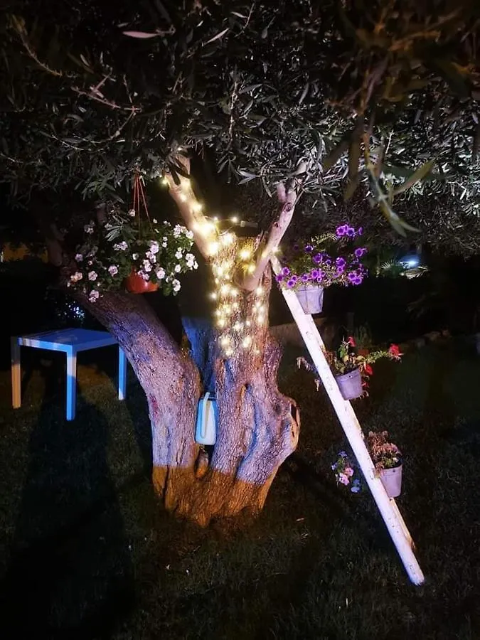 Beb Oasi Marina Bed & Breakfast Campofelice Di Roccella